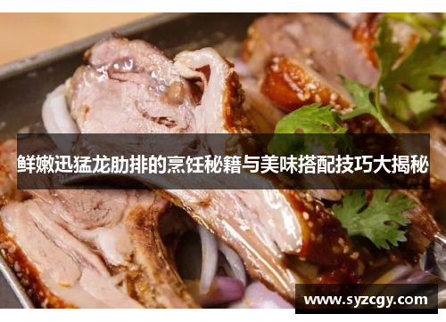 鲜嫩迅猛龙肋排的烹饪秘籍与美味搭配技巧大揭秘