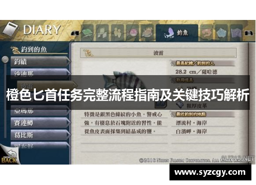 橙色匕首任务完整流程指南及关键技巧解析